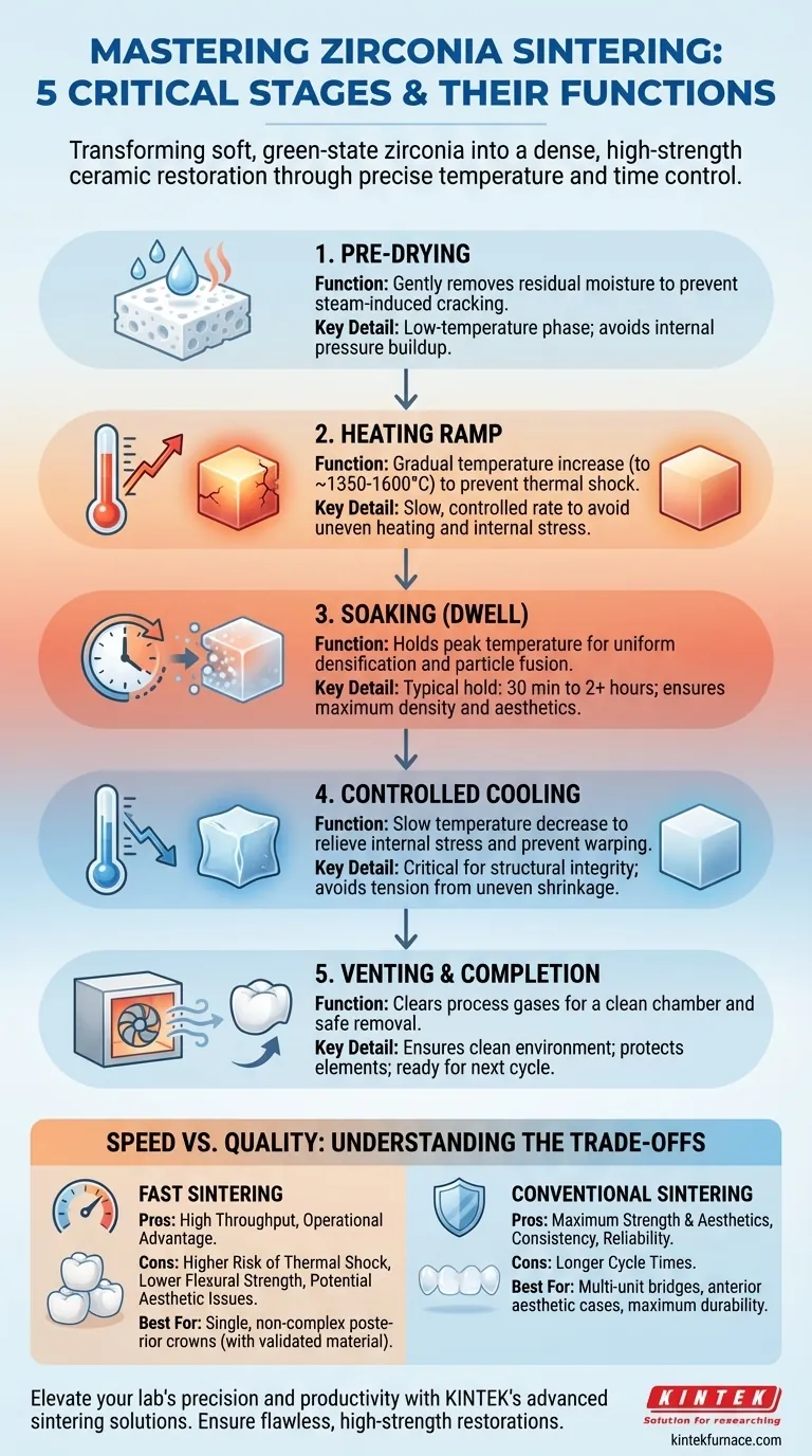 Quali sono le fasi del programma di sinterizzazione della zirconia e le loro funzioni? Maestria di Precisione per Restauri Dentali Durevoli Guida Visiva