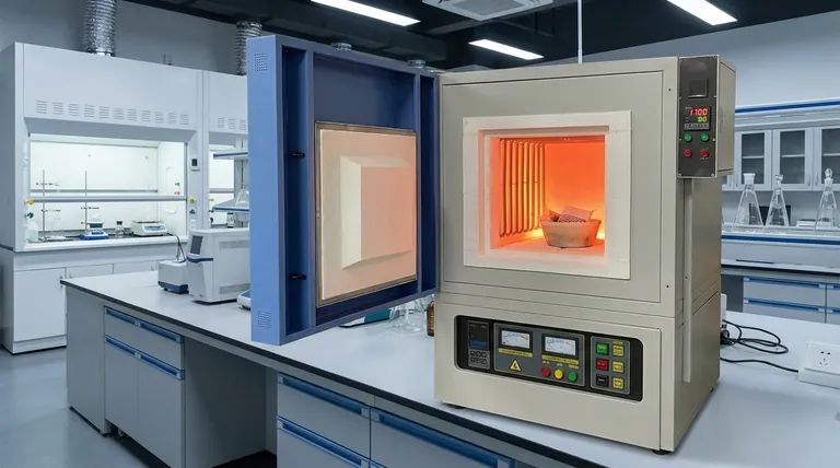 Woraus besteht die Arbeitskammer eines Kastentyp-Widerstandsofens? Entdecken Sie die Kernkomponenten für effiziente Hochtemperaturbetriebe