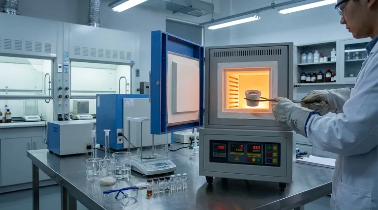 Comment un four à moufle est-il utilisé dans les laboratoires de recherche et médicaux ? Essentiel pour les processus à haute température sans contamination