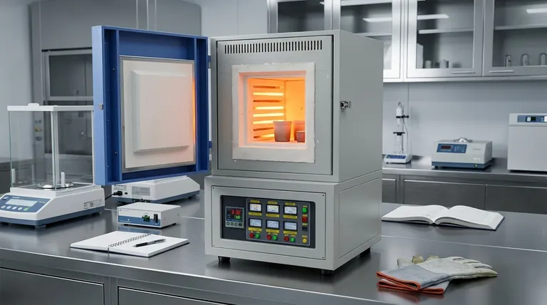 Quelles caractéristiques spéciales rendent les fours à moufle adaptés à certaines applications ? Découvrez les solutions de précision à haute température