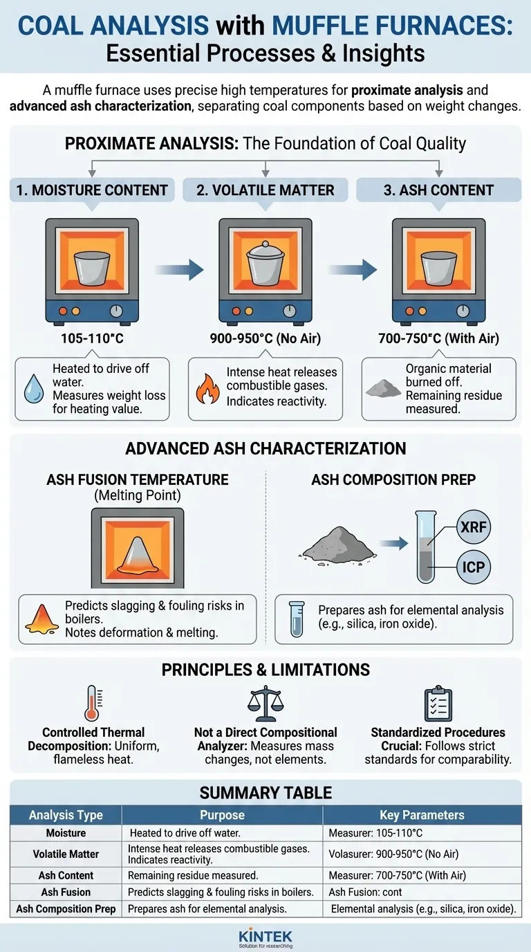 Que tipos de análises podem ser realizadas usando um forno mufla na análise de carvão? Desvende Informações Chave Sobre a Qualidade do Carvão Guia Visual