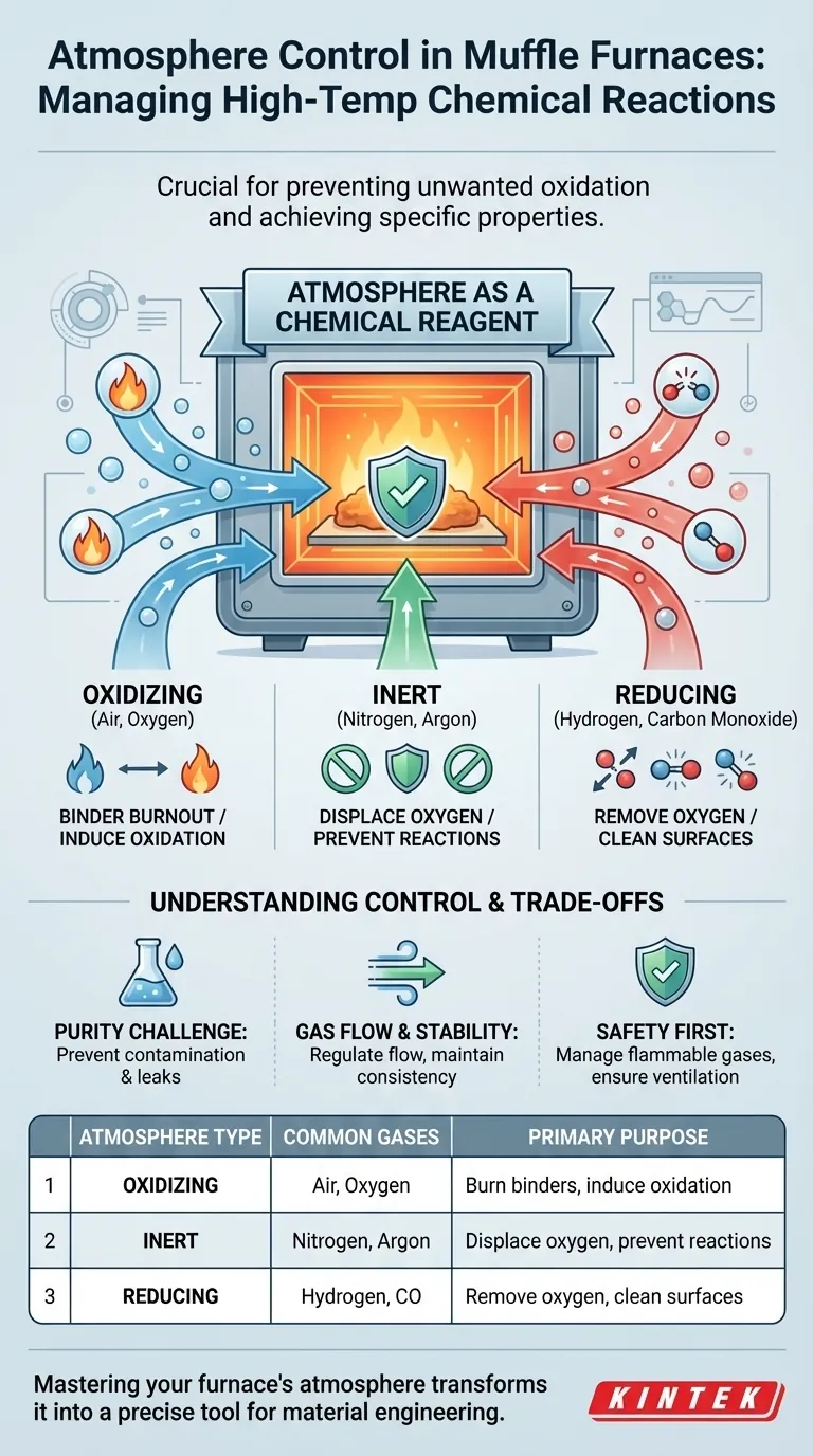 Why is atmosphere control important in a Muffle furnace, and what types of atmospheres can be used? Visual Guide