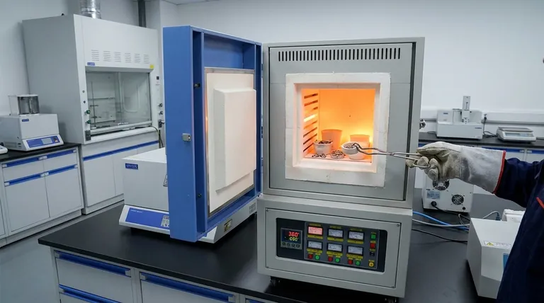 Quelles sont les principales applications d'un four à moufle dans le traitement des matériaux ? Obtenez un traitement des matériaux propre à haute température