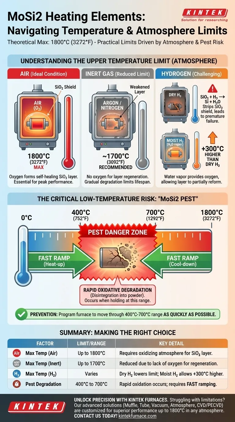 What are the temperature limitations for furnaces using molybdenum disilicide heating elements? Key Factors and Solutions Explained Visual Guide