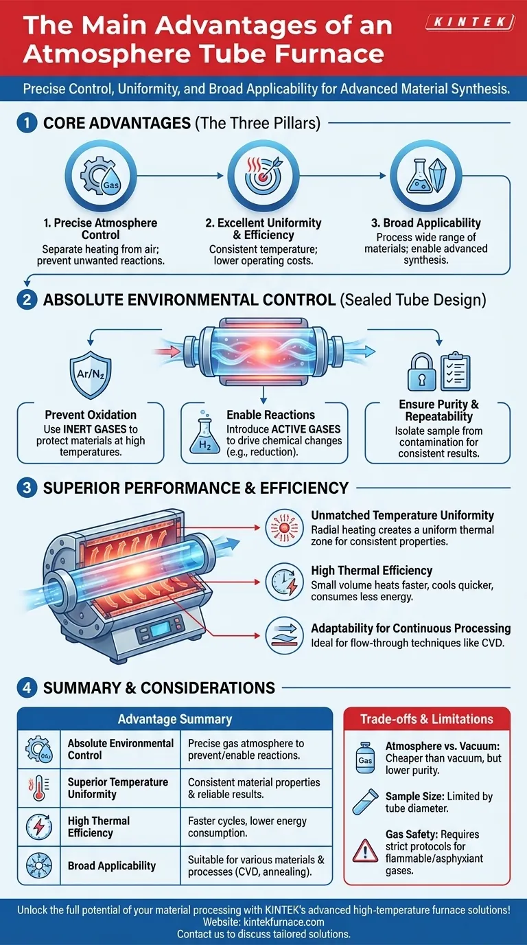 Quais são as principais vantagens de um forno tubular de atmosfera? Obtenha Controle Preciso para Processamento Avançado de Materiais Guia Visual