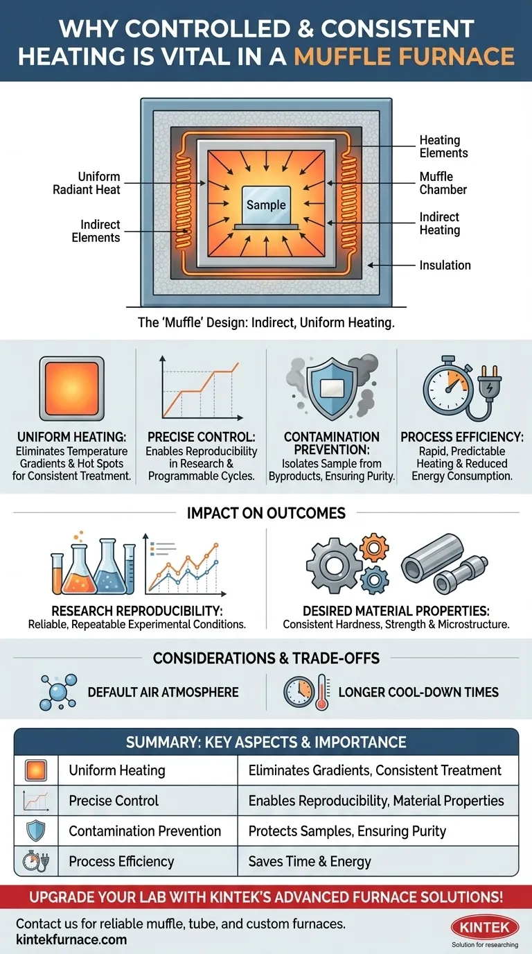 Por que o aquecimento controlado e consistente é importante em um forno mufla? Garanta Resultados Confiáveis em Seu Laboratório Guia Visual