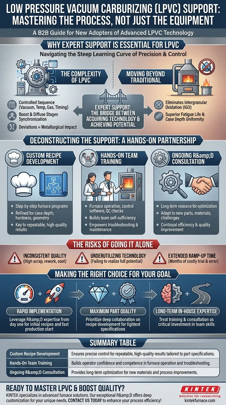 Que suporte está disponível para quem é novo na Cementação a Vácuo de Baixa Pressão? Domine a LPVC com Orientação Especializada Guia Visual