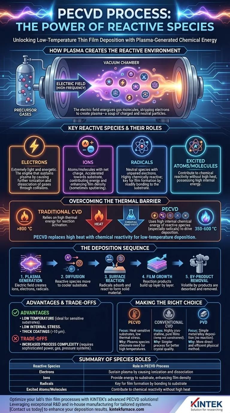 ¿Qué especies reactivas están involucradas en el proceso de PECVD? Desbloquea la deposición de películas delgadas a baja temperatura Guía Visual
