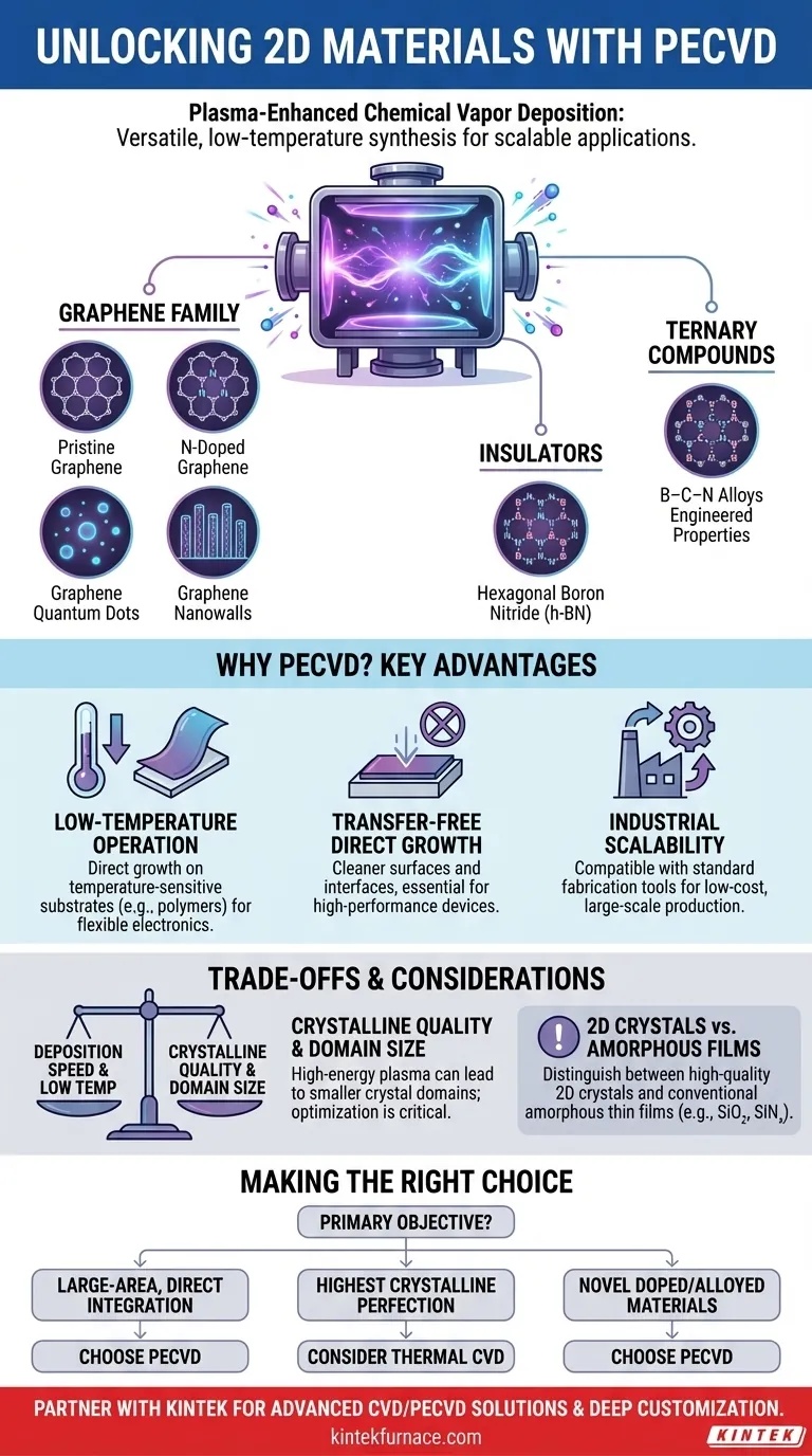 Welche Arten von 2D-Materialien können mittels PECVD hergestellt werden? Entdecken Sie die vielseitige Synthese für fortschrittliche Elektronik Visuelle Anleitung