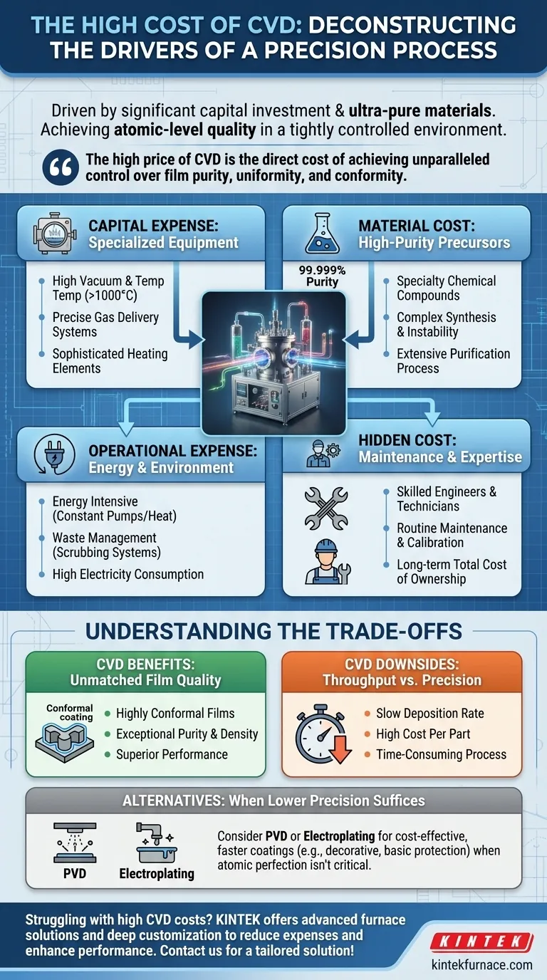 Welche Faktoren tragen zu den hohen Kosten von CVD-Prozessen bei? Entdecken Sie die wichtigsten Treiber und Einblicke zur Kosteneinsparung Visuelle Anleitung