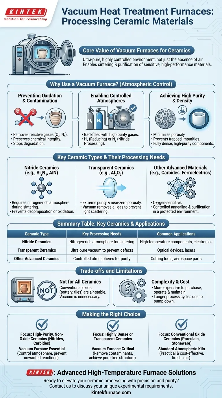 Quali materiali ceramici possono essere lavorati nei forni a trattamento termico sotto vuoto? Sblocca la lavorazione ad alta purezza per le ceramiche avanzate Guida Visiva