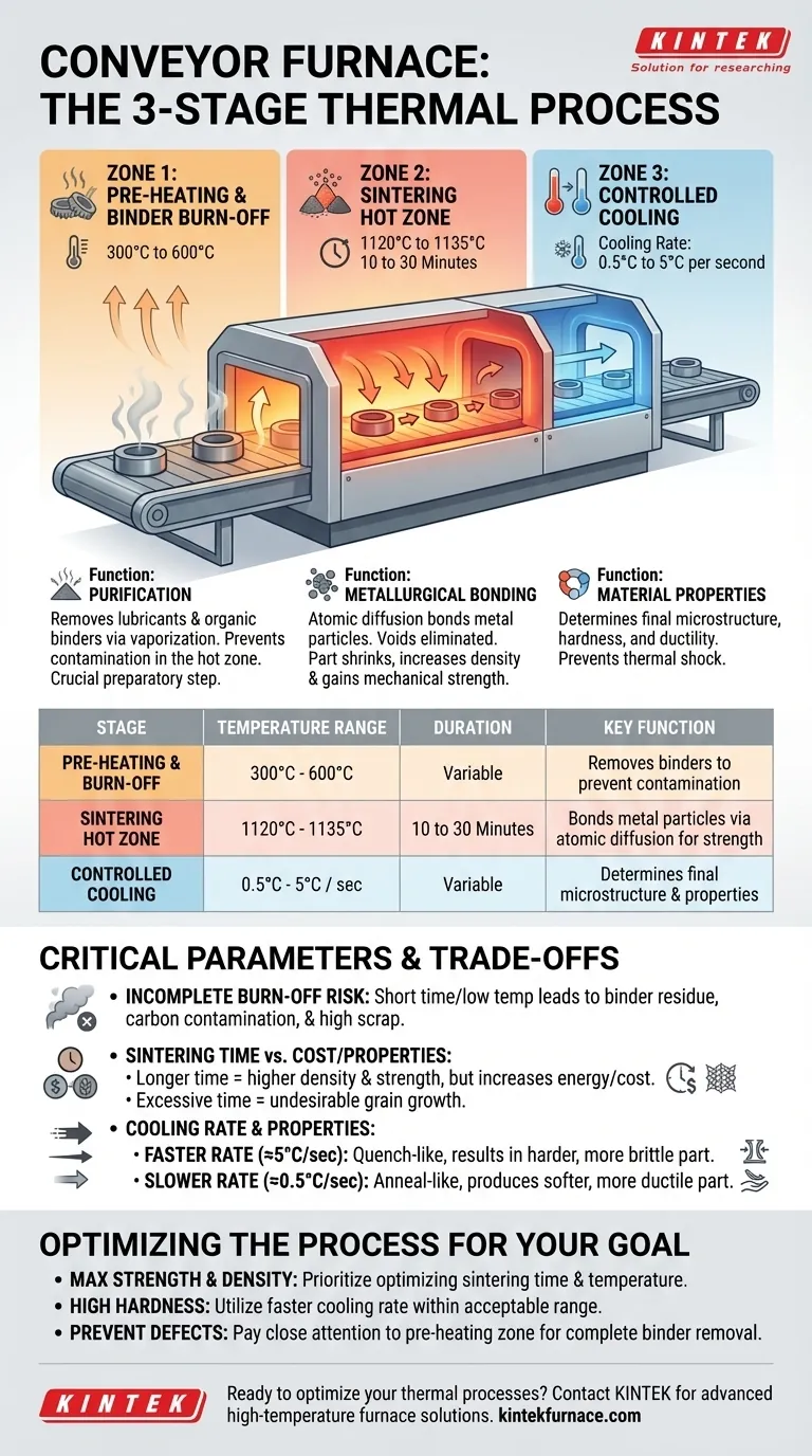 What are the three steps parts go through in a conveyor furnace? Master Sintering for Stronger Parts Visual Guide