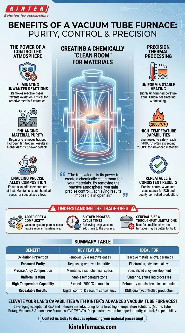 Quais são os benefícios de usar um forno tubular a vácuo? Obtenha um Processamento de Alta Temperatura Puro e Controlado Guia Visual