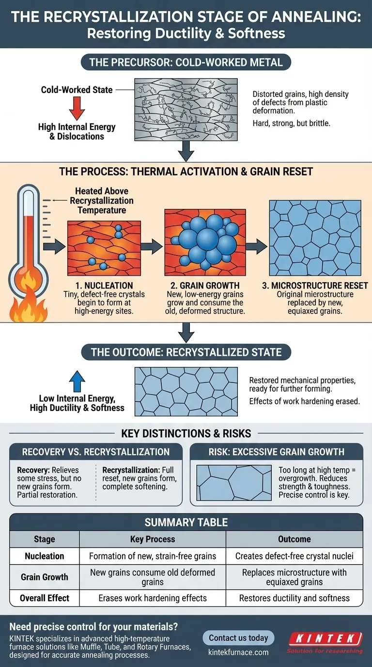 ¿Qué ocurre durante la etapa de recristalización del recocido? Restaura la ductilidad y reinicia la microestructura Guía Visual