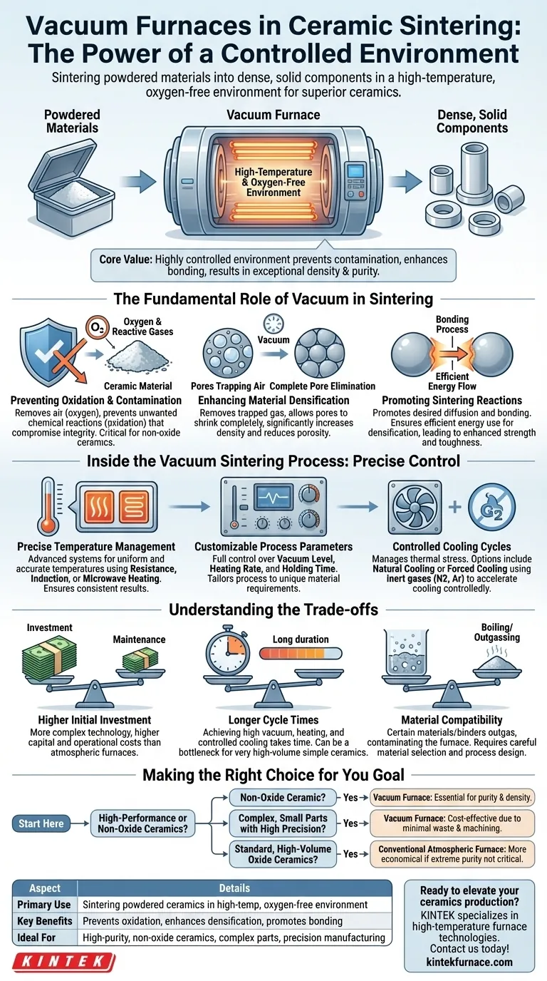 Qual è l'applicazione dei forni a vuoto nella sinterizzazione delle ceramiche? Ottenere ceramiche ad alta purezza e dense Guida Visiva