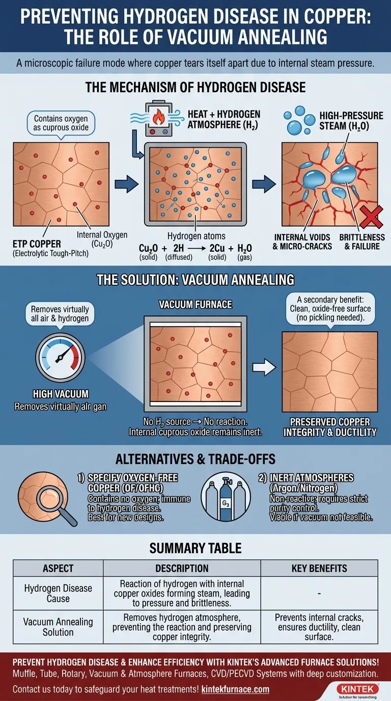 Cos'è la 'malattia da idrogeno' nella termotrattamento del rame e come la ricottura sottovuoto la previene? Impara a evitare guasti catastrofici Guida Visiva