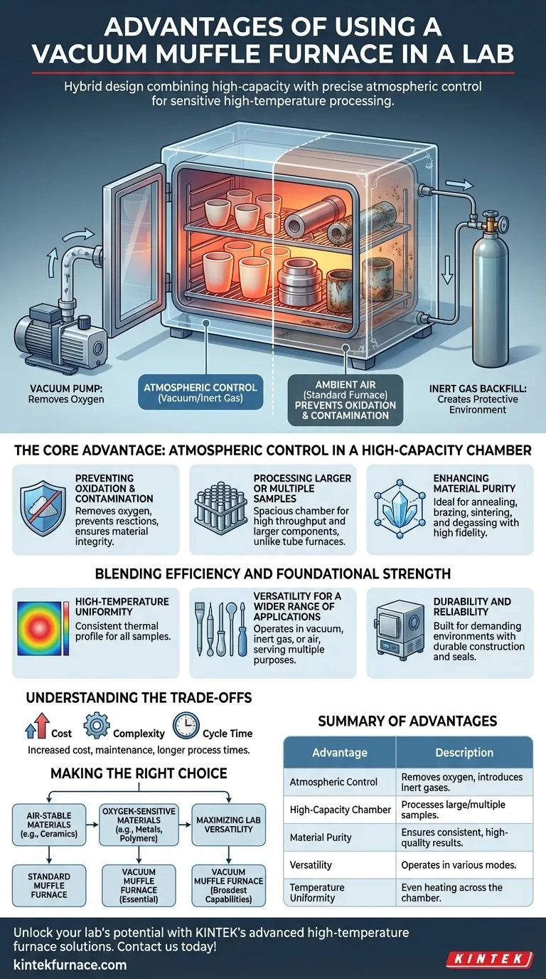 What are the advantages of using a vacuum muffle furnace in a lab? Boost Efficiency and Purity in Material Processing Visual Guide