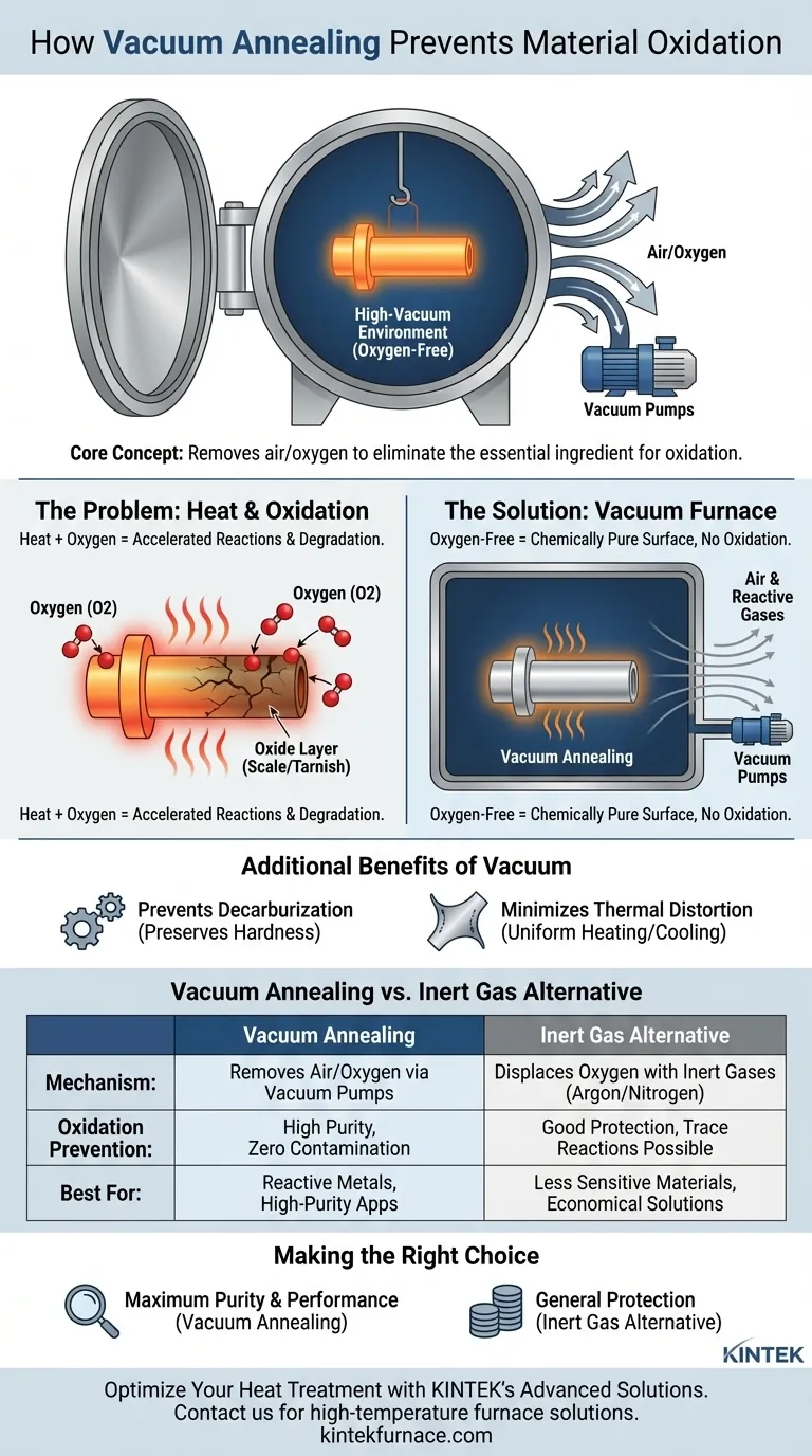Que papel desempenha o recozimento a vácuo na prevenção da oxidação de materiais? Garanta a pureza com tratamento térmico sem oxigénio Guia Visual