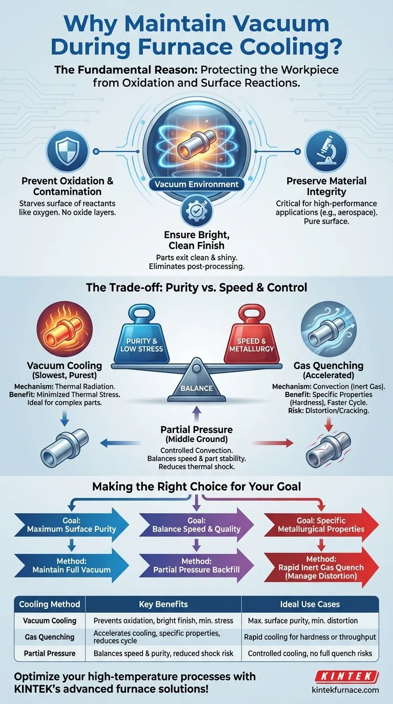 لماذا قد يحافظ فرن التفريغ على التفريغ أثناء التبريد؟ حماية قطع العمل من الأكسدة والتحكم في الخصائص المعدنية دليل مرئي