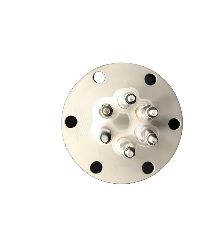 Vacuum electrode lead